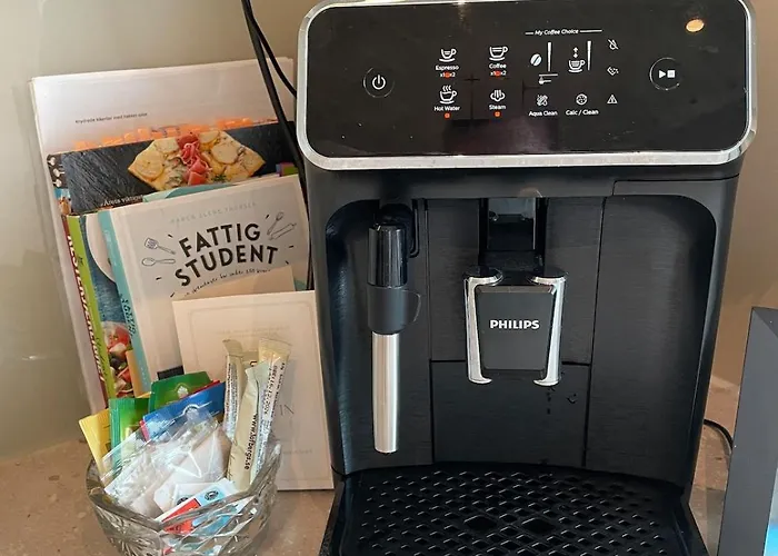 Large Family Near Oslo - 3 Bedrooms, Free Parking, Balcony * 릴레스트룀